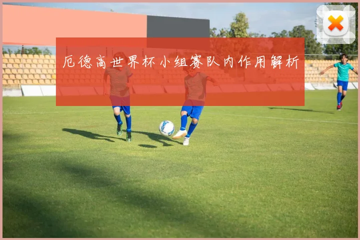 厄德高世界杯小组赛队内作用解析